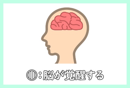 ファスティング(断食)の効果11コ目は脳が覚醒する