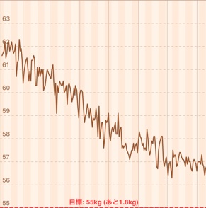 16時間ダイエット7ヶ月間の体重の推移
